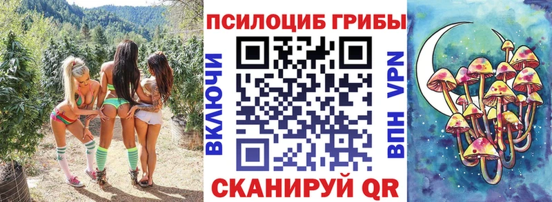 Псилоцибиновые грибы мицелий  купить наркоту  Ивдель 