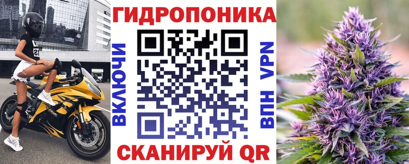 Бошки Шишки план  Ивдель 